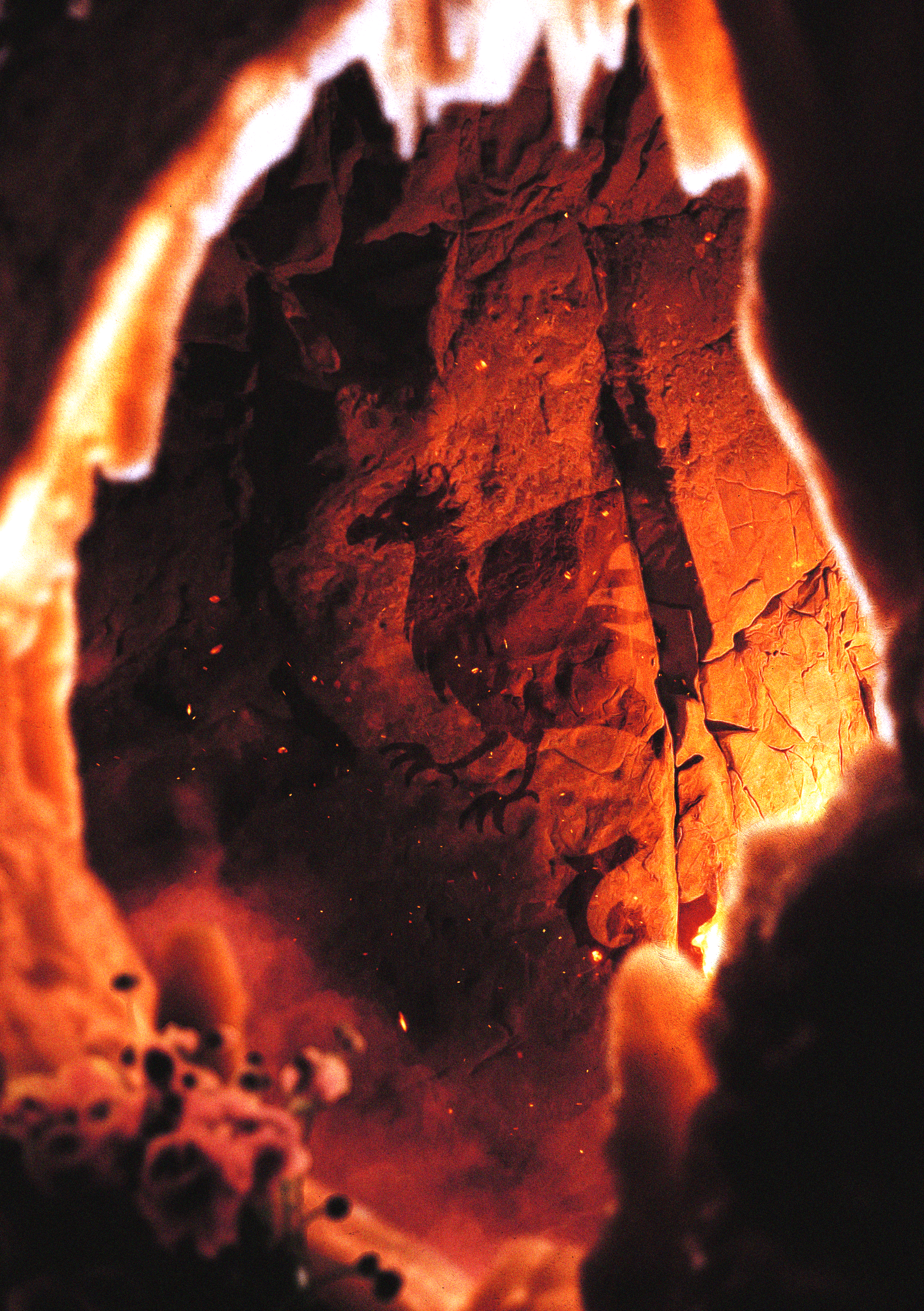 Illustration de la nouvelle "les noces du dragon" par Rémi Germain. L'image montre une grotte ornée d'une peinture de dragon